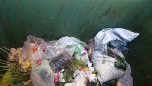 Bloki Pivka-emb v bio